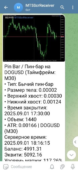Screenshot #5 TelegramScreenshoter
