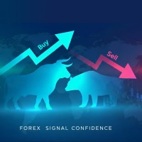 Forex Signal Confidence