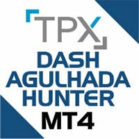 TPX Dash Agulhada