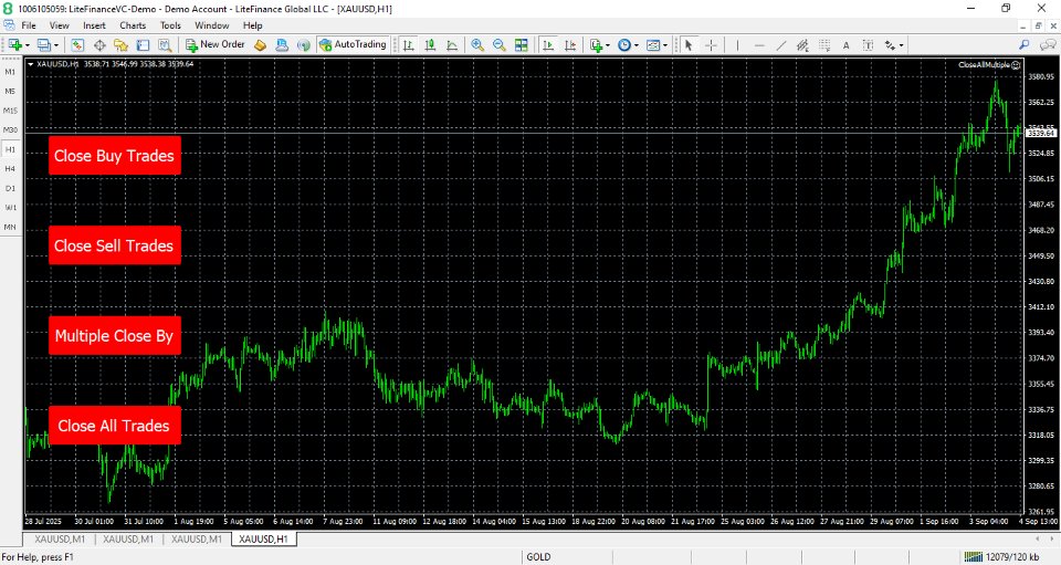 스크린샷 #4 Multiple Close All MT4