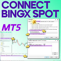 Connect BingX Spot to MT5 Service