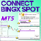 Connect BingX Spot to MT5 Service
