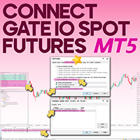 Connect Gate io Spot Futures to MT5 Service