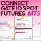 Connect Gate io Spot Futures to MT5 Service