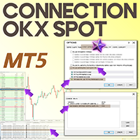 Connection OKX Spot MT5 Service