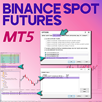Binance Spot Futures to MT5 Service