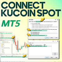Connect KuCoin Spot MT5 Service