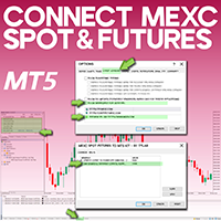 Connect MEXC Spot And Futures to MT5 Service
