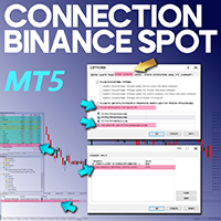 Connection Binance Spot to MT5 Service