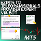 EZ MT5 to Telegram Signals Provider Expert via Bot