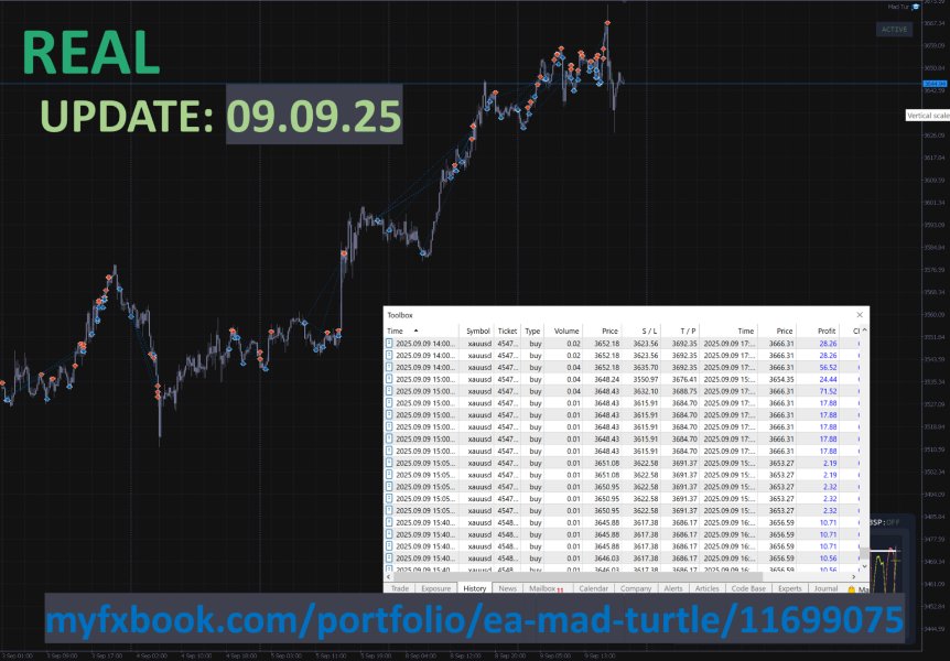 Screenshot #4 Mad Turtle