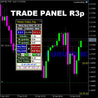 Trade Panel R3p