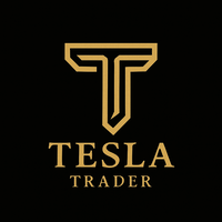 Tesla Robo Inteligente