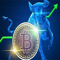 MT4BTCPro