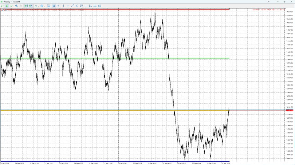 Снимок экрана #4 Quarterly Levels Pro