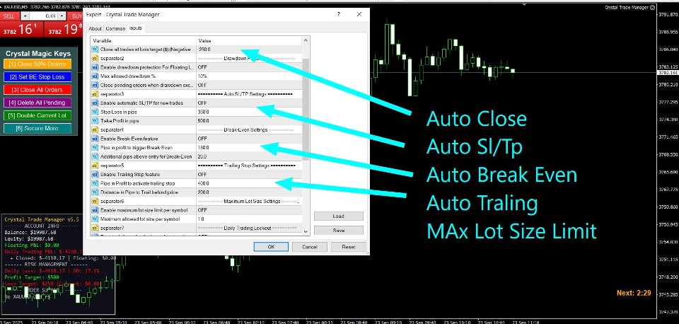Снимок экрана #5 Crystal Trade Manager Advanced MT4 Risk Control