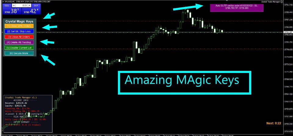 Снимок экрана #1 Crystal Trade Manager Advanced MT4 Risk Control