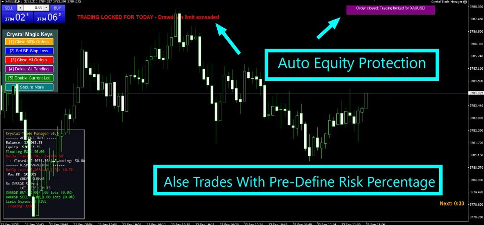 Снимок экрана #2 Crystal Trade Manager Advanced MT4 Risk Control