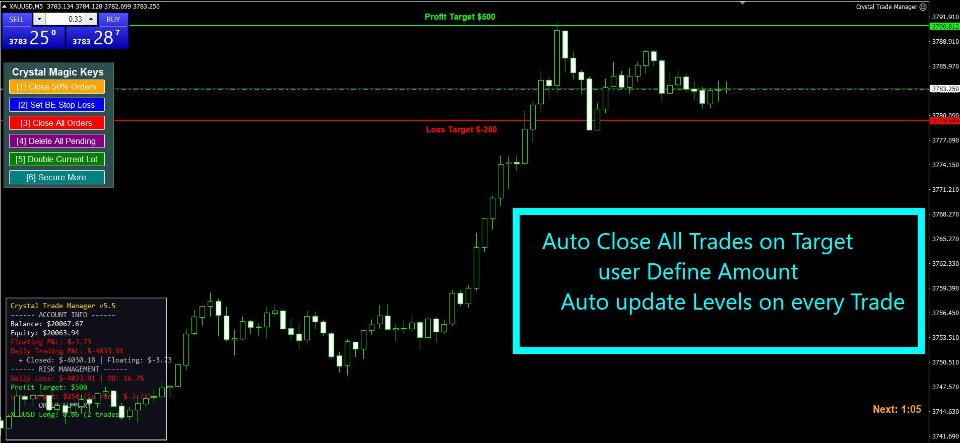 Снимок экрана #3 Crystal Trade Manager Advanced MT4 Risk Control