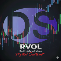 DS Relative Volume Indicator RVOL