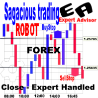 Sagacious Trading Expert Advisor