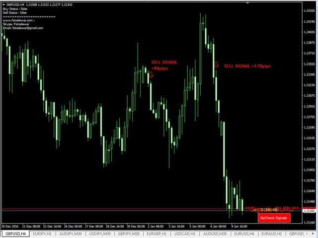 Forex signal guru