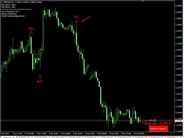 Forex signal guru