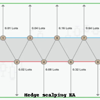 Fully hedge scalping EA