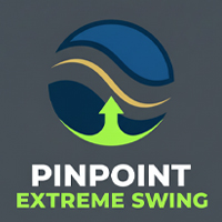 Pinpoint Extreme Swing