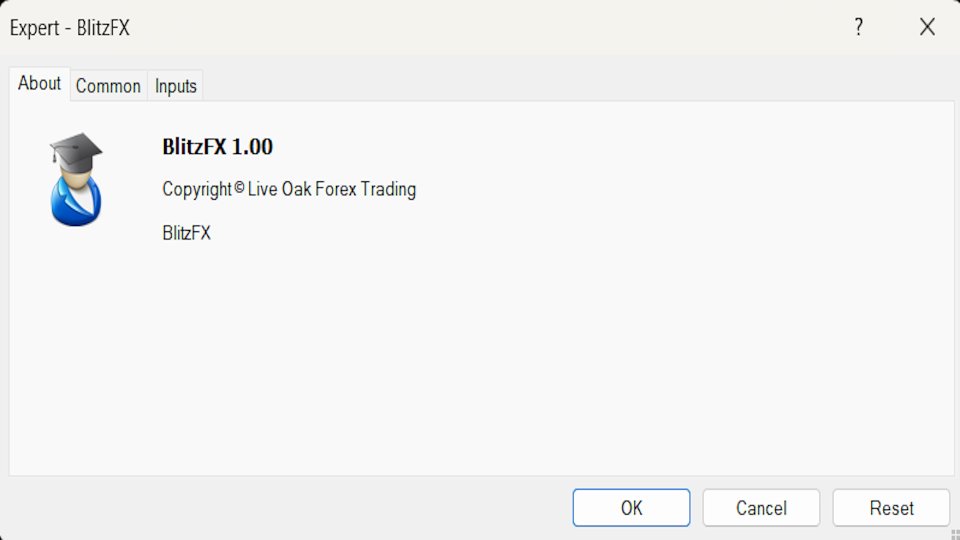 Capture d'écran #1 BlitzFX