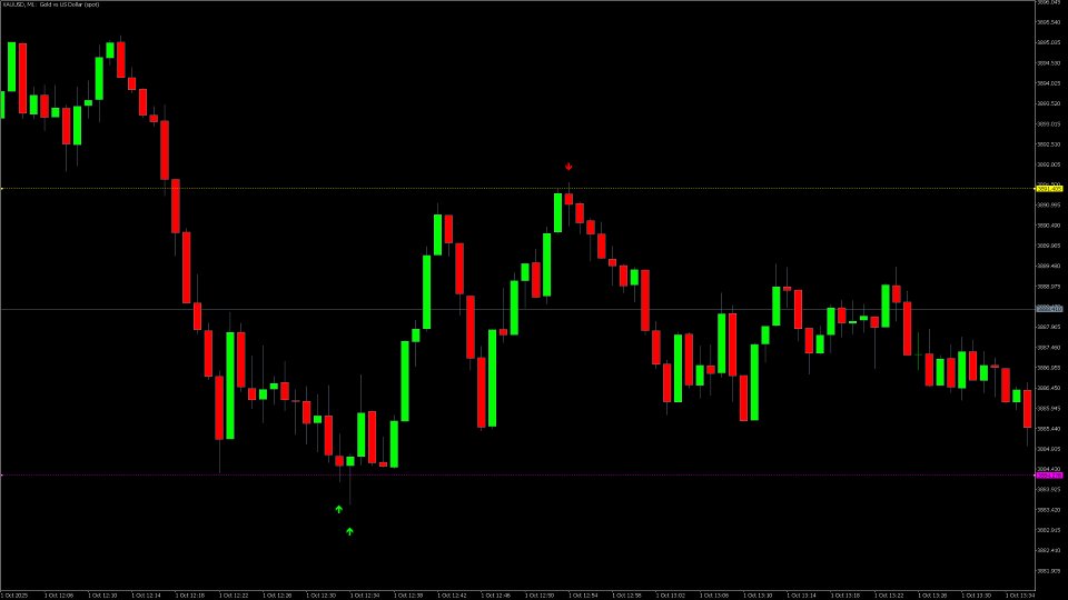Captura de pantalla #2 Price Canal and Candle Pattern Signal Alert MT5