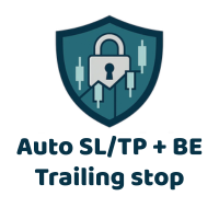 AutoRisk Manager