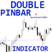 Double PinBar Pattern m
