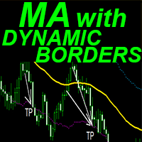 MA with Dynamic Borders mg