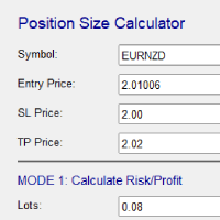Risk and Position Size Calculator