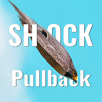 Shock Pullback