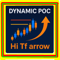 Dynamic Poc Hi Tf arrow