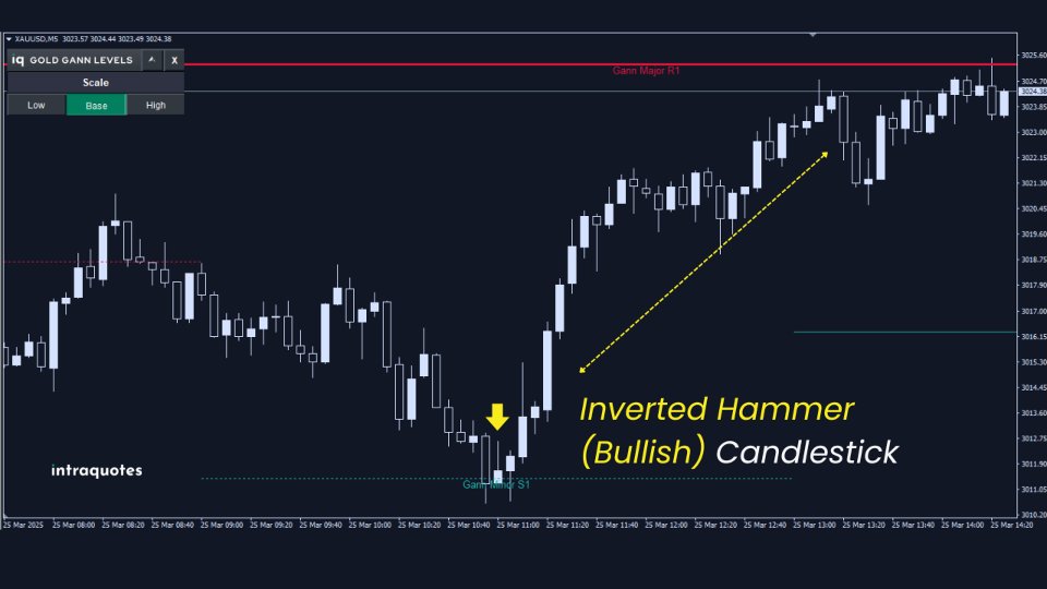 截图 #11 IQ Gold Gann Levels MT5