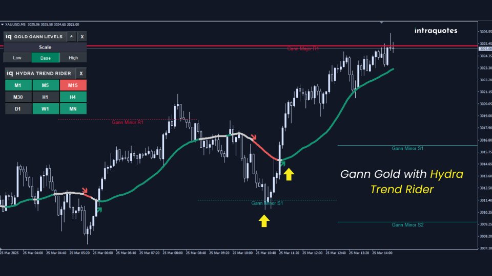 截图 #12 IQ Gold Gann Levels MT5