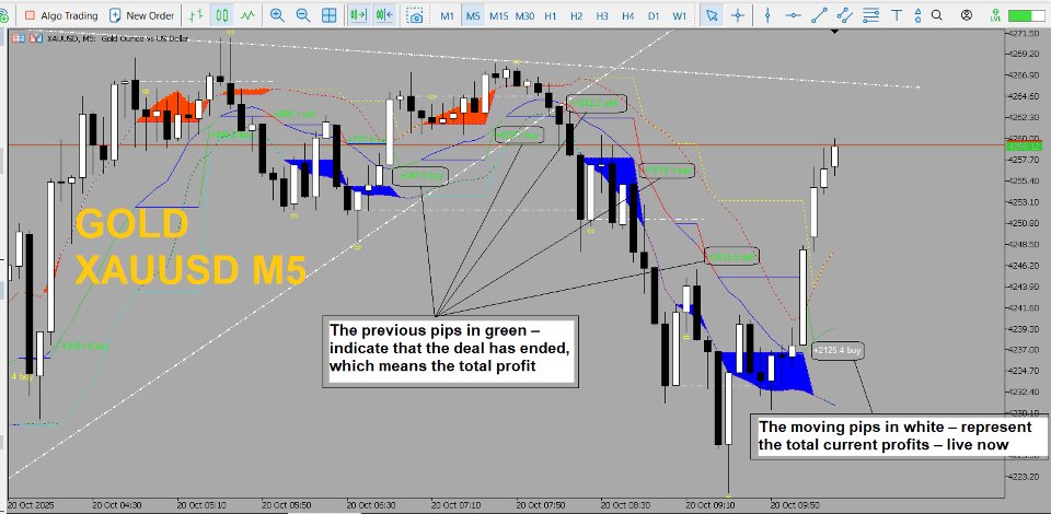 Screenshot #5 Shock Pullback