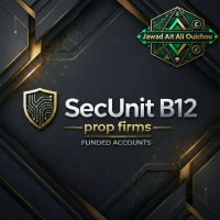 SecUnit B12