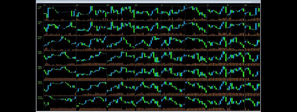 Screenshot #1 BirdsIview