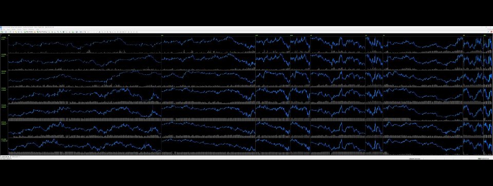 Screenshot #2 BirdsIview