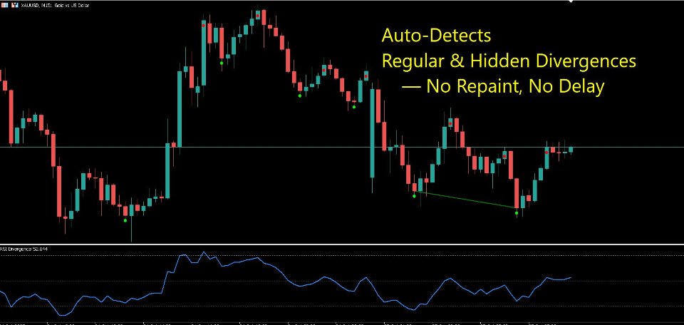 Снимок экрана #2 The Real RSI Divergence Hunter