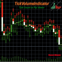 TickVolumeIndicator