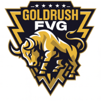 Gold Rush FVG Multiple Time Frame