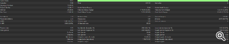 safe backtest 01.01.2025 - 30.10.2025