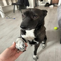 Controlled Portfolio