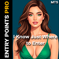 Entry Points Pro for MT5