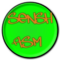 Sensh ASM